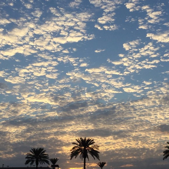 Meet your Posher, E - Picture 1 of 1